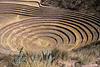 Incan crop terraces