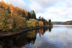 Autumn reflections at lake Vyrnwy