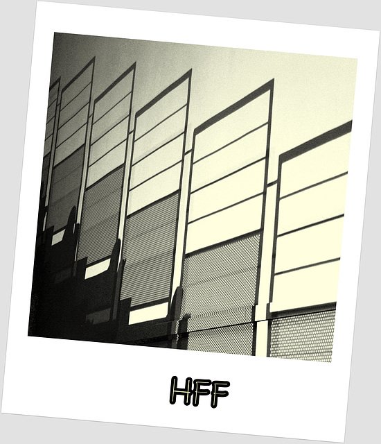 Monochrome Polaroid HFF
