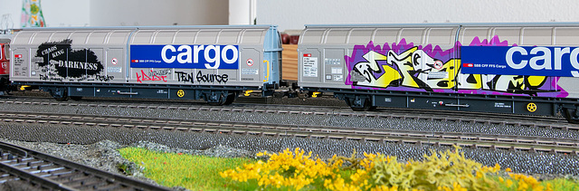 210217 Piko wagon tag 2
