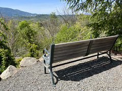 Bench on Top of the Hill