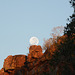 Namibia, The Morning Moon Sat on the Cliff of the Waterberg Plateau