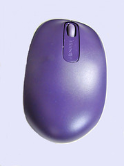 My New Mouse