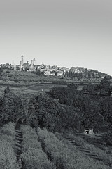 Tuscany 2015 San Gimignano 21 XPro1 mono
