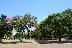 Buenos Aires, In the Park of Oriental Republic of Uruguay