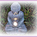 Lumière Zen au jardin avec PIP