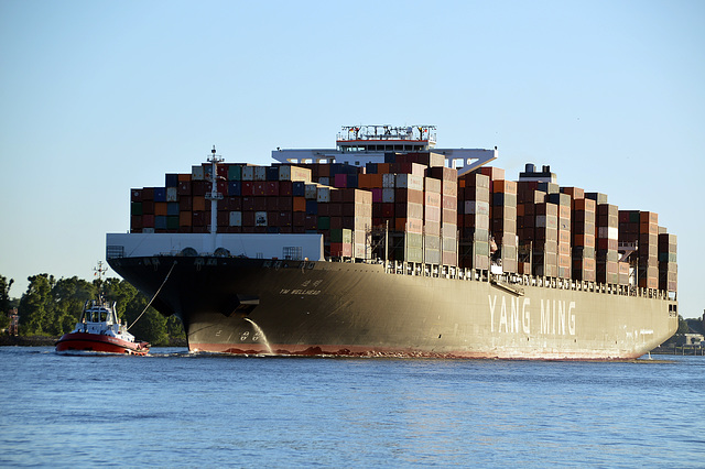 Containerfrachter  YM Wellhead der Reederei Yang Ming, läuft in den Hamburger Hafen ein