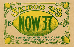Skidoo 23 Is Now 37