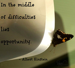 opportunity quote ..