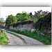 Le vieux mur ...  ***  The old wall ...