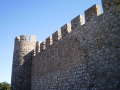 Old walls and tower.