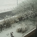 gdn - unexpected snow [2 of 8]