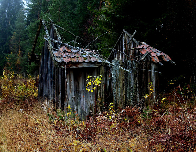 Derelict outhouse