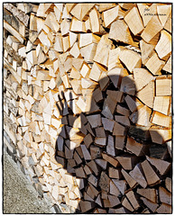 Holz-Schatten-Wand