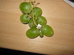 ESP[94a] - grapes
