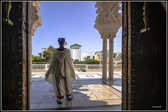 Mausoleo de Mohamed V     -    hFF