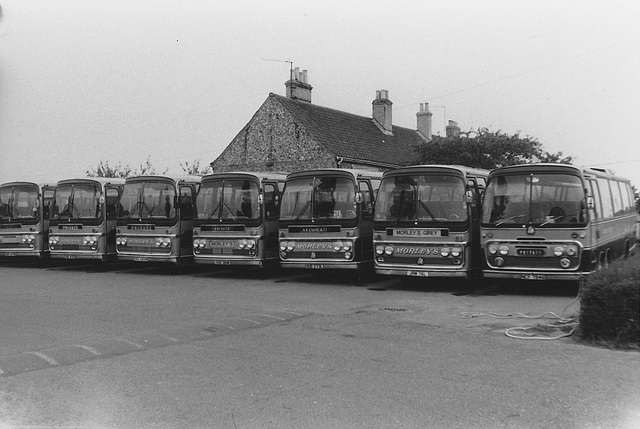 Morley's Grey line-up at West Row (8) - Sun 15 Sep 1985