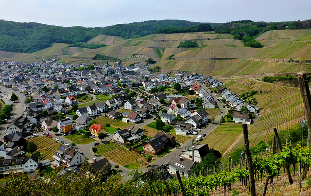 DE - Dernau - Blick aus den Weinbergen
