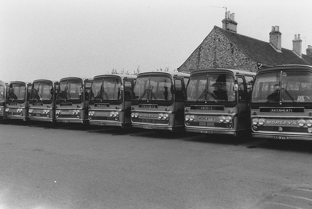 Morley's Grey line-up at West Row (7) - Sun 15 Sep 1985