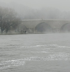 Danube Fog
