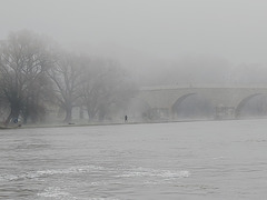 Danube Fog