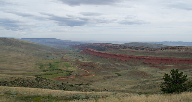 Red Canyon WY (#0004)