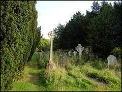 churchyard yews