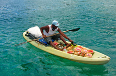 # 15 Venditore di conchiglie - S.Lucia - Caraibi