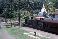 Personenzug beim Halt in Beruwala Sri Lanka
