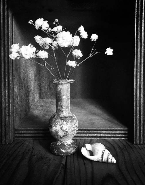 glass and shell b&w