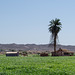 Imperial County S-24 desert farming (#0800)