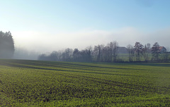 Frühling am Stefanstag 2015, der Nebel löst sich geradu auf
