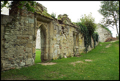 Wallingford castle ruins