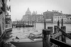 wet Venice