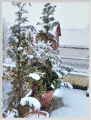 First snow at this morning... ©UdoSm
