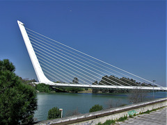 Die Alamillo Brücke in Sevilla (Puente del Alamillo) 2 x PiP