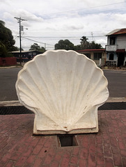 Street's shell