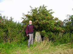 Trig Point (84m) south of Hill Covert
