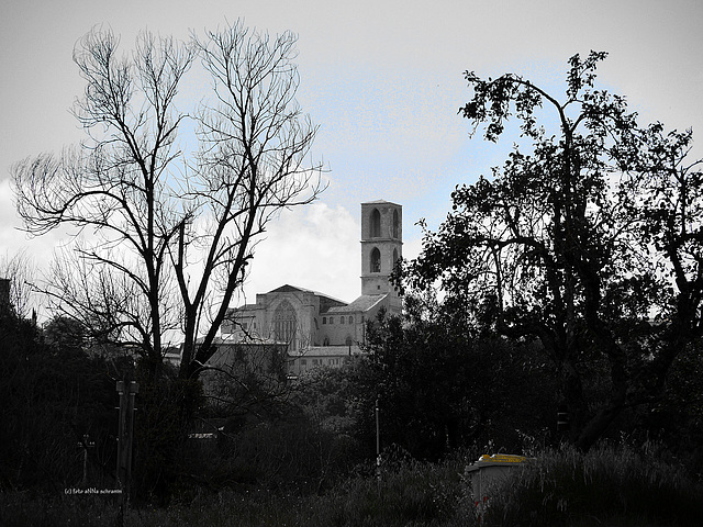 Basilica di San Domenico