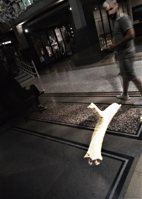 Mystery bone - Manchester Museum.