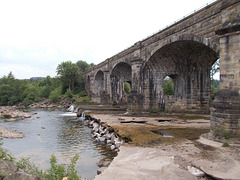 aav - The Arches, summer 2023 {2 of 2}