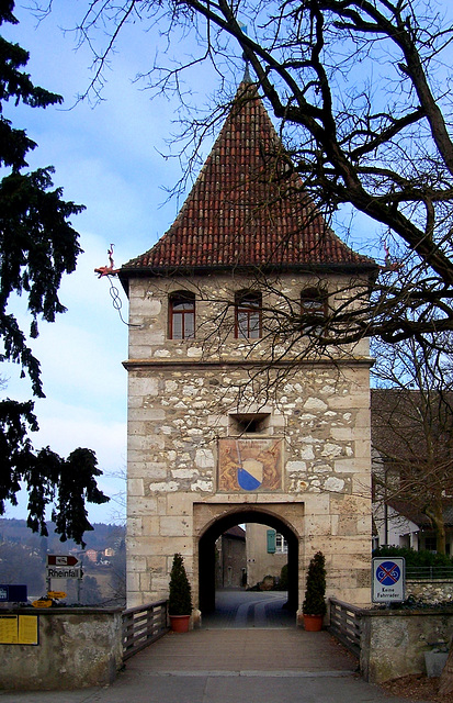 CH - Dachsen - Schloss Laufen