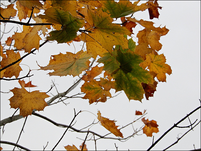 poésie d'automne poésie d'automne