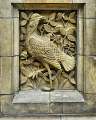A Stone Dove – Natural History Museum, South Kensington, London, England
