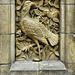 A Stone Dove – Natural History Museum, South Kensington, London, England