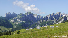 Alp Sigel Apenzell Innerroden