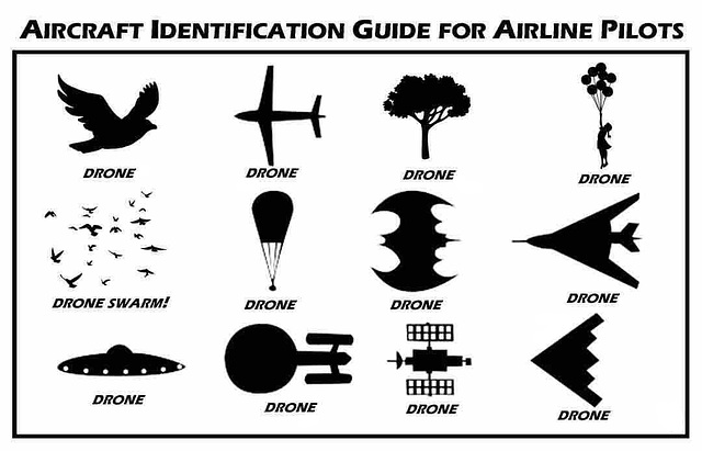 Drone Identification Chart
