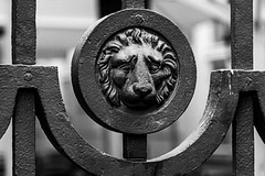 The lion speaks - HFF folks