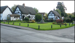 village green thatch