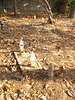Cimetière thaïlandais / Thai cemetery